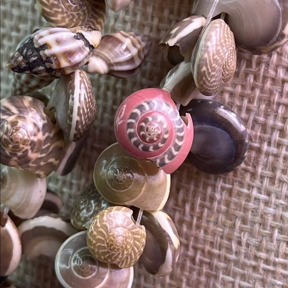 Chic Natural Shell Necklace - Picture 5 of 7